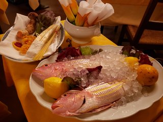 連載エッセイ｜#ijichimanのぼやき「広尾編」