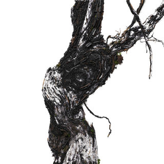 ヴィック ムニーズとルイナールのコラボ作品が東京初上陸｜Ruinart