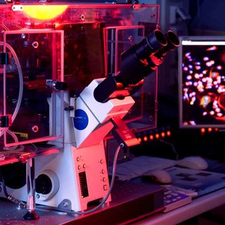 ドルチェ＆ガッバーナがコロナウイルス研究のため資金援助を表明｜DOLCE&GABBANA