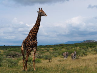 連載｜南アフリカ旅行記