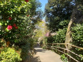 連載エッセイ｜#ijichimanのぼやき「江戸川橋編」