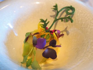 連載｜南アフリカ旅行記