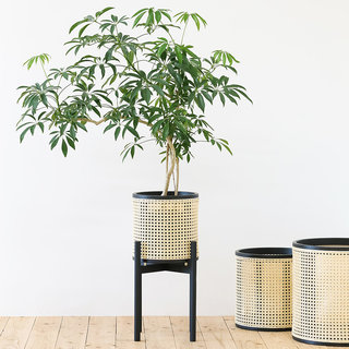 家具工房「MOKUJI」が生産を手がけたプランターカバー｜ARAHEAM