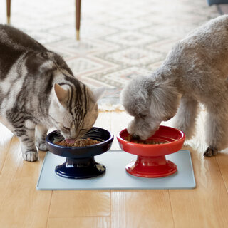 ペットのフードボウルなどのズレ・転倒を防止するシリコーン製フードマット｜HASAMI 