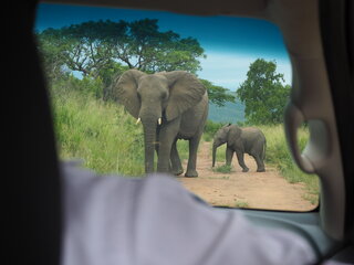 連載｜南アフリカ旅行記