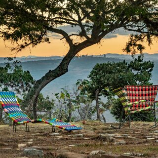 マルニとファーフェッチによる限定デザインコレクション「ZOOTERICO」が登場｜MARNI×FARFETCH