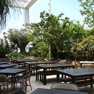 空と植物とエキゾチックな料理を楽しむビアテラス｜SHIRONONIWA