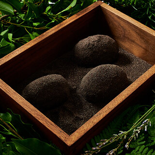 「知る」は、おいしい！　星野リゾート　リゾナーレ八ヶ岳｜TRAVEL