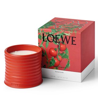 ロエベから初となるホームセンツ コレクションが登場｜LOEWE