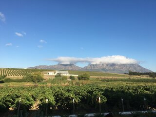 連載｜南アフリカ旅行記