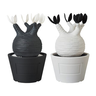 BOTANIZEとのコラボで塊根植物をフィギュア化。VCD Pachypodium Gracilius｜MEDICOM TOY