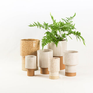 鹿児島・鹿屋の植物屋「Araheam」との付き合いから生まれた美しいプランター ｜A Question of Eagles