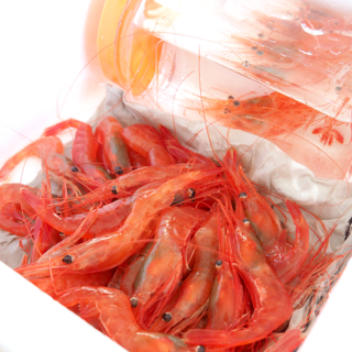 命の大切さを親子で学ぶ「はねっ娘セット」。活きたアマエビを自宅に直送｜SAKAMA