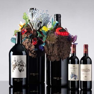 ワインボトルそのものがコレクト対象!?　伊「オルネッライア 2019」最新ヴィンテージのテーマは「イル・ヴィゴーレ（力）」｜ORNELLAIA