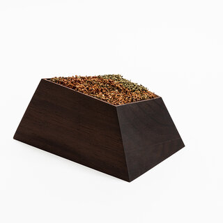 新進気鋭のプロダクトデザイナーが提案する、ドライフラワー用の花器｜SEIKI DESIGN STUDIO