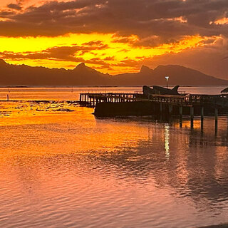 短期連載１　ハネムーナーじゃなくても楽しい！　タヒチは懐の広いプリミティブな「楽園」