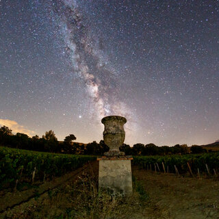 トスカーナの鬼才、その息子が語る “手仕事のワイン”の価値とは？