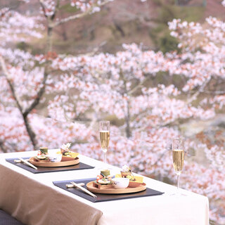 お花見という贅沢時間を、2025年こそは手に入れる