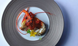 この時期だけの奇跡の食材「ソフトシェル伊勢海老ディナー」｜Hoshino Resorts KAI Atami