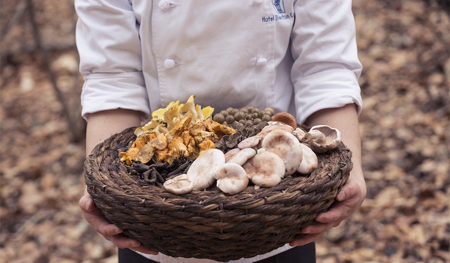 野生のきのことフォアグラを堪能するフレンチ｜Karuizawa Hotel Bleston Court