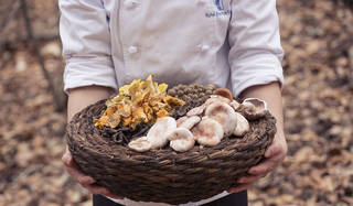 野生のきのことフォアグラを堪能するフレンチ｜Karuizawa Hotel Bleston Court