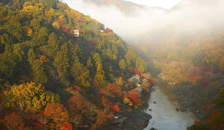 1日1組限定、紅葉に彩られた京都の街を巡る「紅葉ヘリクルーズ」｜HOSHINOYA Kyoto