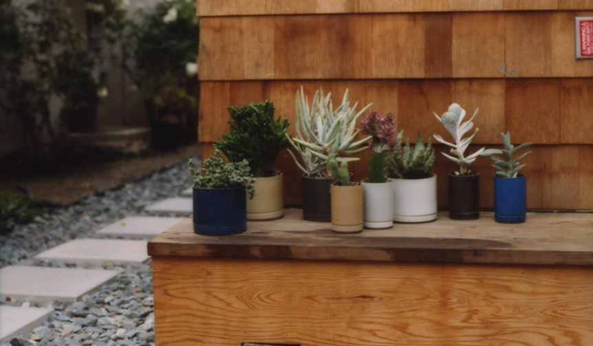 歴史ある陶磁器を現代風に。室内外で使えるプランター｜Hasami Porcelain