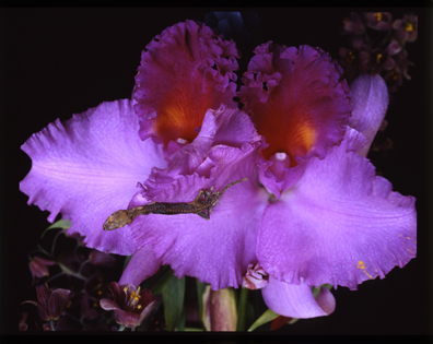 第8回：荒木さんの写真と、僕の収穫