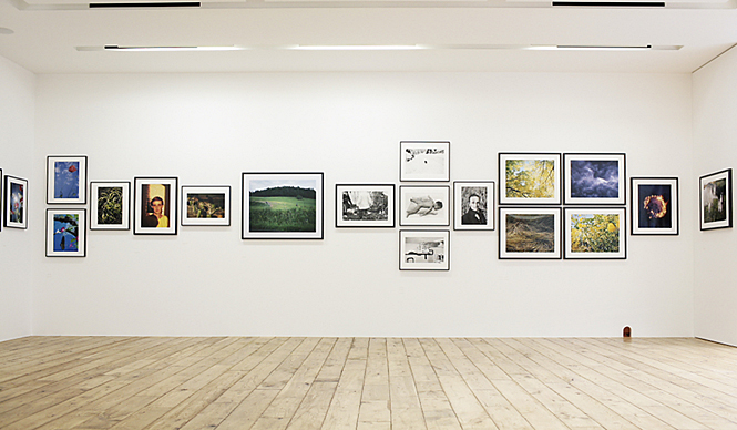 第16回　古屋誠一インタビュー（1）