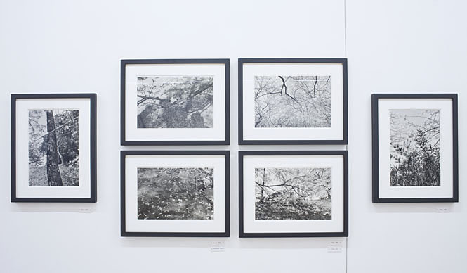 リー・フリードランダー写真展『桜狩』（その2）