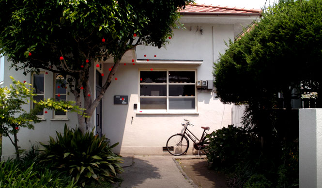 四月の魚|shigatsu no sakana