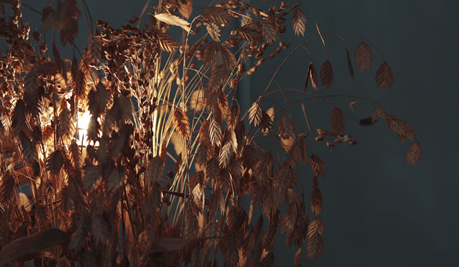 第40回　「住」にまつわる話＿秋の照明編