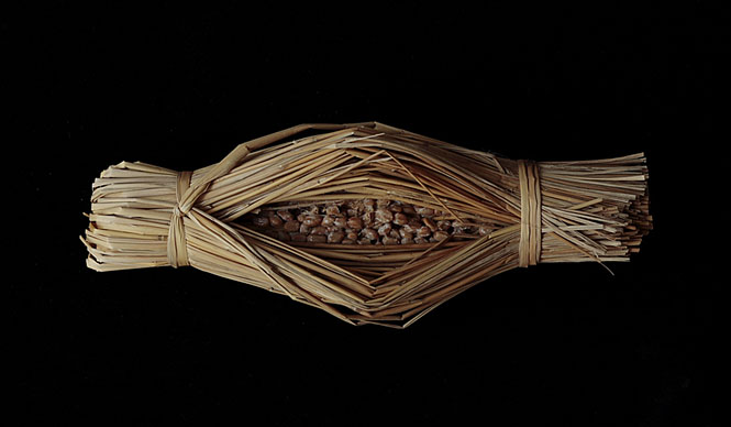 第43回　「食」にまつわる話＿食品のパッケージ編