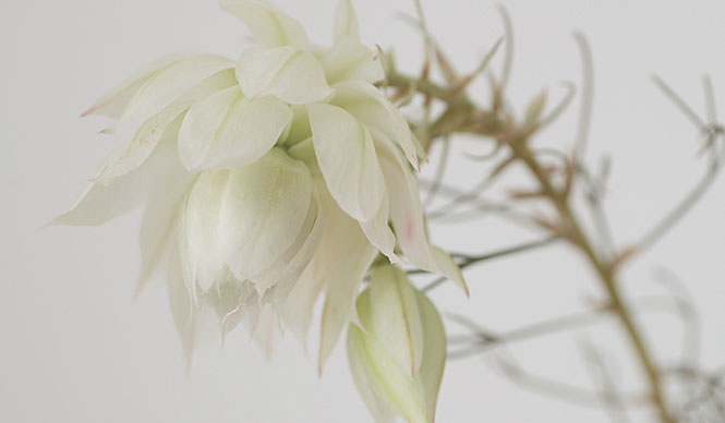 藤原美智子の「色」ものがたり第6回 11月　いま、必要なのはグレィッシュ感！？