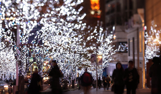 藤原美智子の「色」ものがたり第7回 12月 フェルメールの絵から考察する、ウエディングドレスが“白”の理由