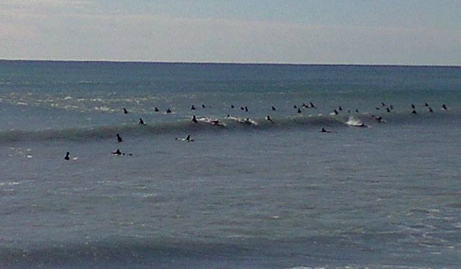 第6回  今回はサーフィンとヨガについて