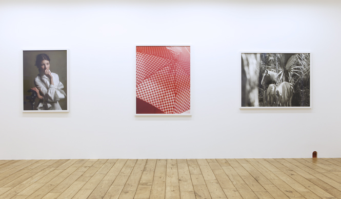 第41回　ロー・アスリッジ個展『グッドナイトフラワーズ』（その1）