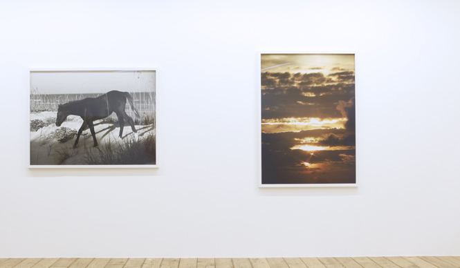 第42回　ロー・アスリッジ個展『グッドナイトフラワーズ』（その2）