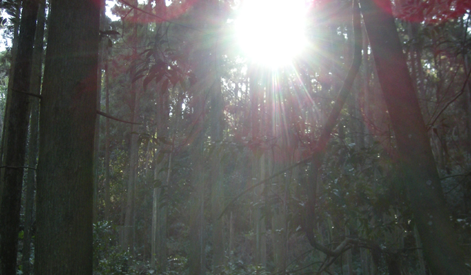 島田　明　Life is Edit. #018 ～自分探し、は終わらない