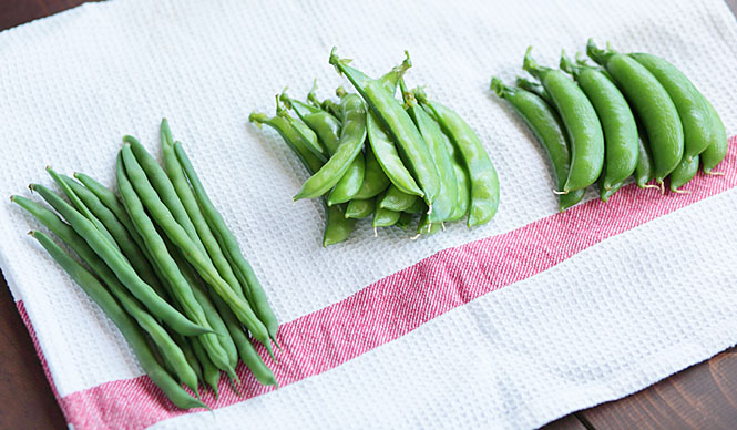 第50回 「食」にまつわる話_春の豆編(前編)
