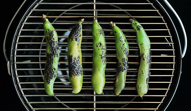 吉田眞紀 第51回　「食」にまつわる話＿春の豆編（後編）