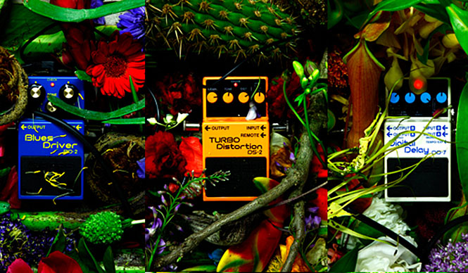 東信エキシビジョン「Distortion × Flowers」開催