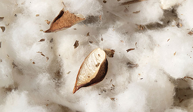 三原康裕│第3回 アバンティ代表取締役 渡邊智恵子さんと語る（4・最終回）