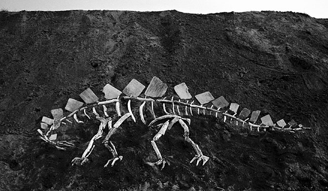 UTRECHT｜MUJI東京ミッドタウンにて、「MUJI BOOKS × MITSURU KOGA」開催中