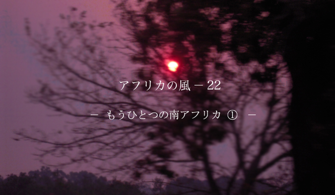 浅野典子「アフリカの風」 Chapter22：もうひとつ南アフリカ 1