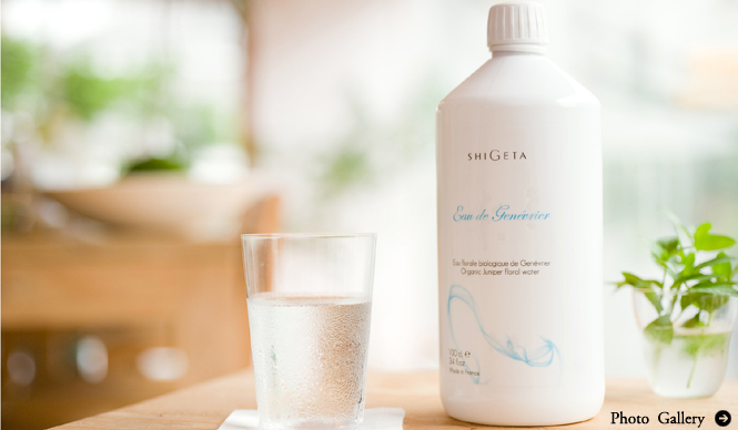 SHIGETA│「バイタリティー・コーチング®」の効果　～デトックス編