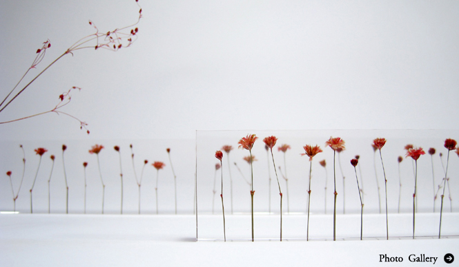 柳本浩市｜第12回 寺山紀彦氏にオランダデザインを聞く(前編)