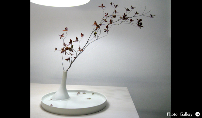 柳本浩市｜第13回 寺山紀彦氏にオランダデザインを聞く(中編)