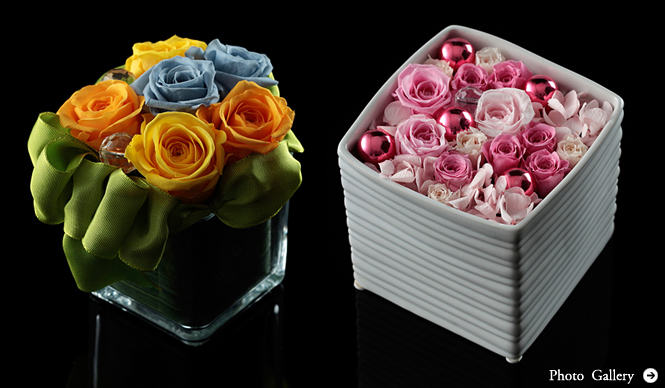 和気雅美│新連載・FloraLuxe主宰 和気雅美インタビュー