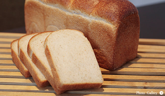 TOKYO PREMIUM BAKERIES｜第5回　ARTISAN TERRA｜アルティザン・テラ